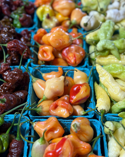 Pepper Descriptions