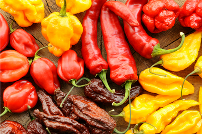 Beyond the Burn: How Hot Peppers Benefit the Body [originally printed in Edible Jersey magazine]