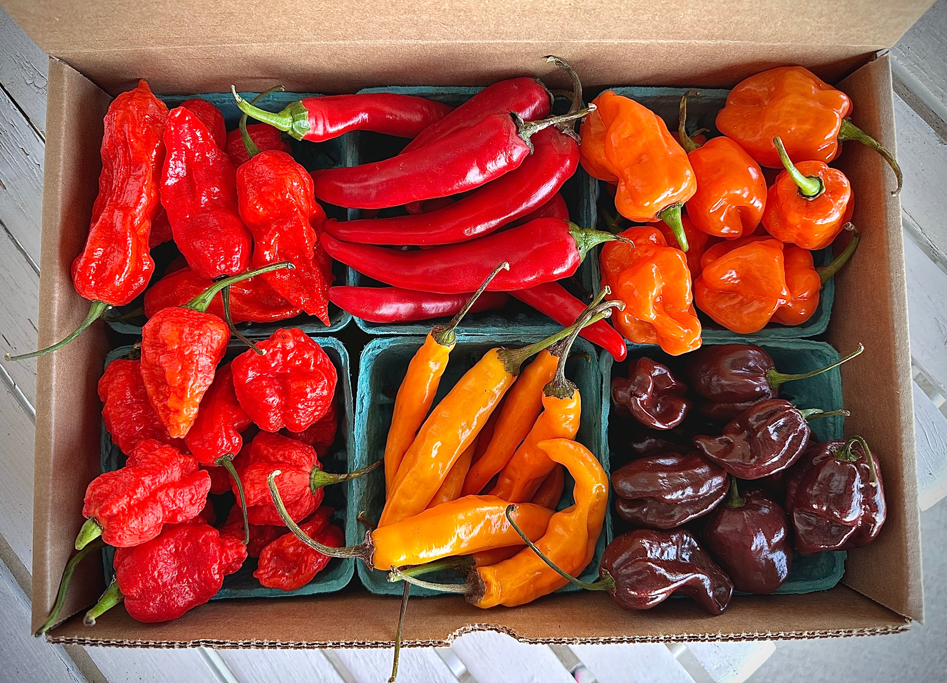 Homesweet Homegrown: Organic Fresh Peppers + Organic Chili Pepper CSA