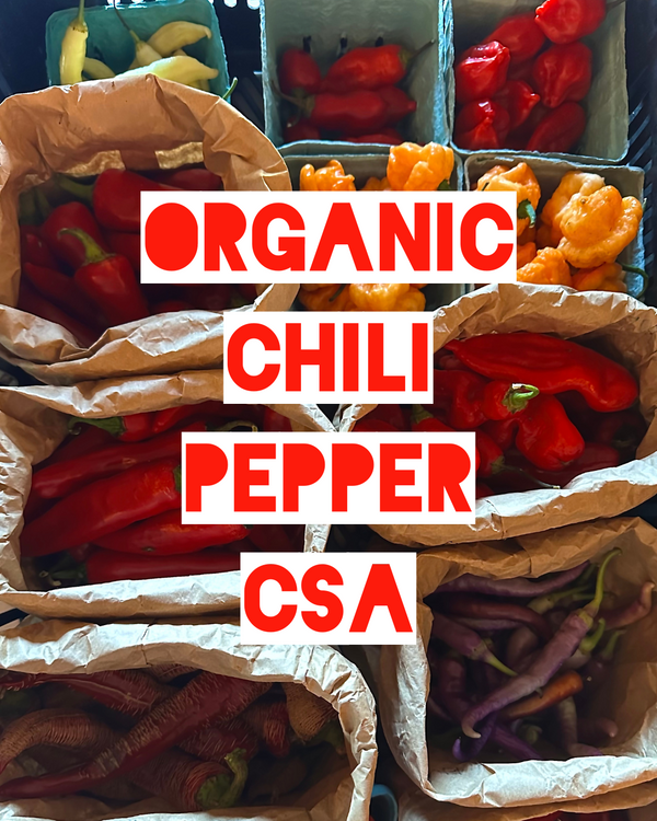 2025 Organic Chili Pepper CSA: Subscription Box (Preorder)