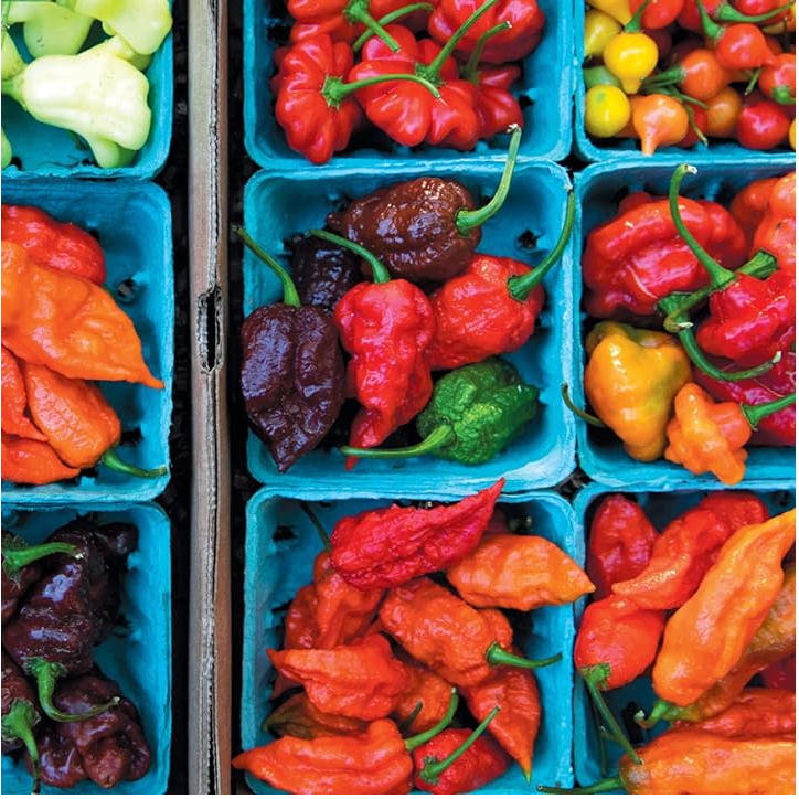 Chili Pepper Explorer's Gift Box: Experience 6 Unique Varieties