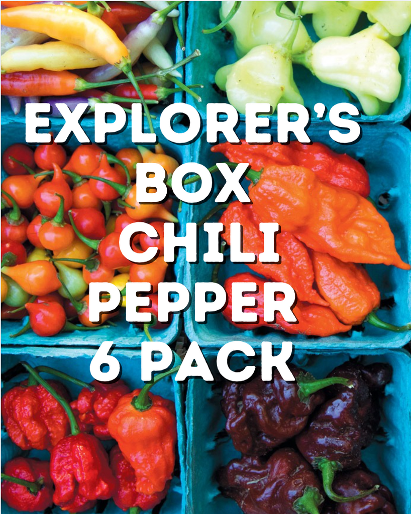 Homesweet Homegrown: Organic Fresh Peppers + Organic Chili Pepper CSA