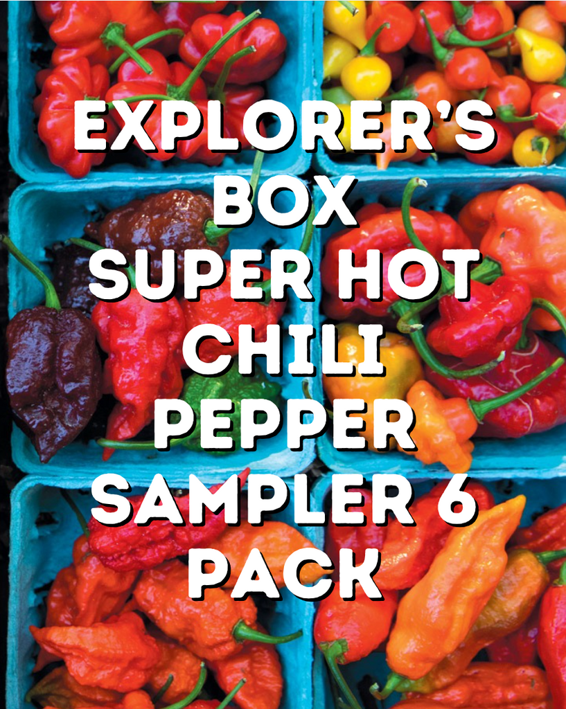 Homesweet Homegrown: Organic Fresh Peppers + Organic Chili Pepper CSA