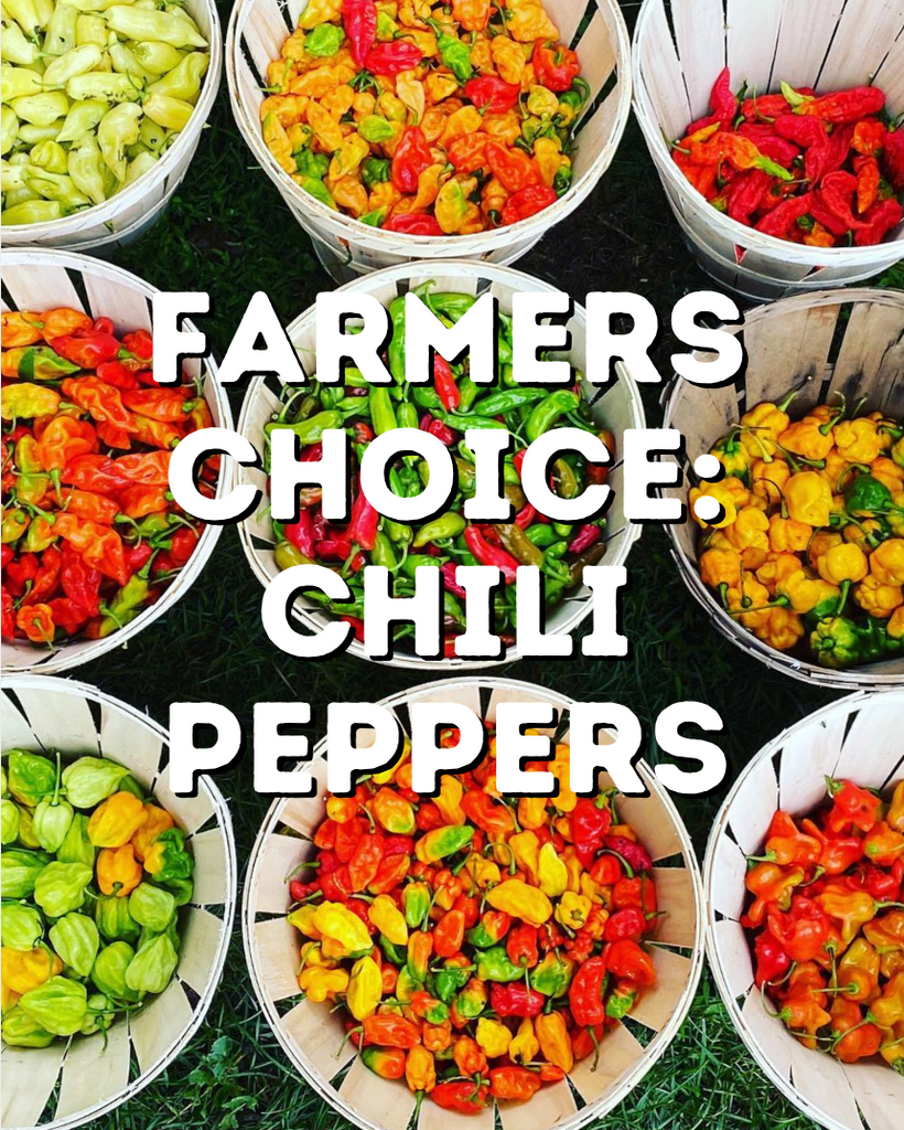Homesweet Homegrown: Organic Fresh Peppers + Organic Chili Pepper CSA